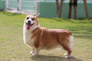 111.jpg
