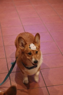 1111111.jpg