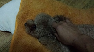 20160718_114757_resized.jpg