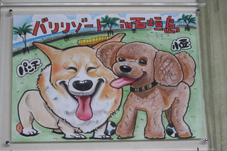 2018.11.6九鬼様プレゼントパンチ小豆.JPG