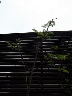 画像 002.jpg